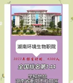 民办高中