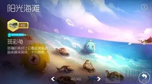球球大作战哪里可以看