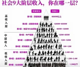 组织