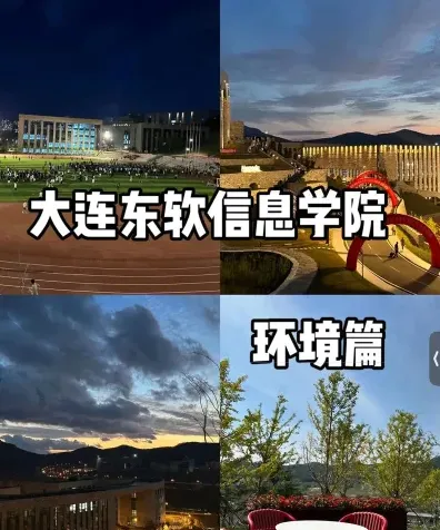 教学成果