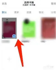 微信替身
