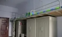 学校