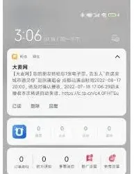大麦电子票