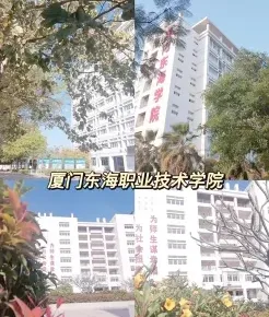 学院