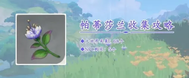 原神莎兰