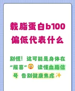 载脂蛋白