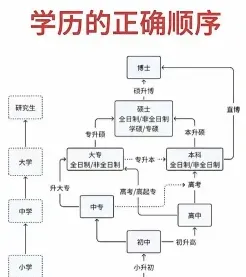 学历分类