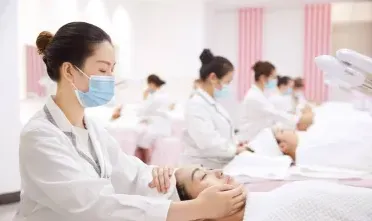 提供