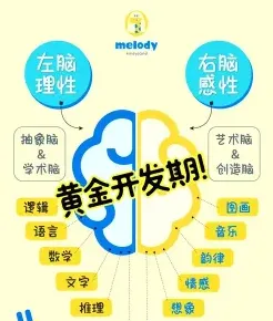 大脑