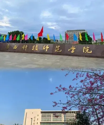 专任教师