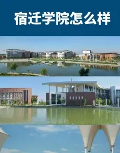 学校