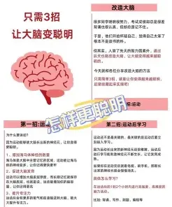开发大脑