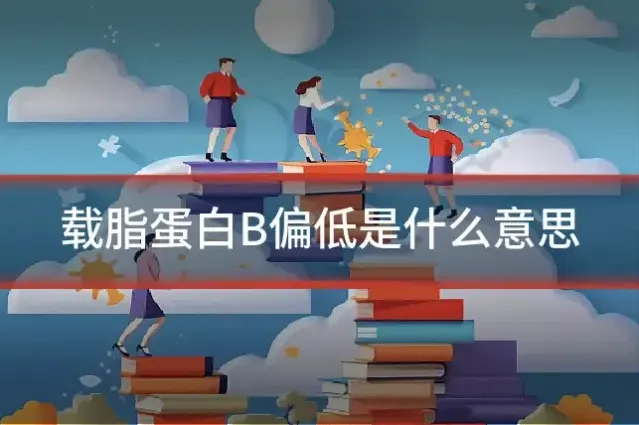载脂蛋白B偏低是什么意思