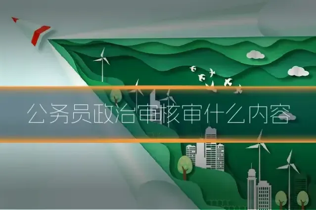 公务员政治审核审什么内容
