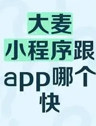 大麦抢票