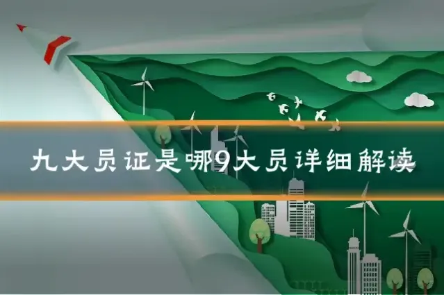 九大员证是哪9大员详细解读