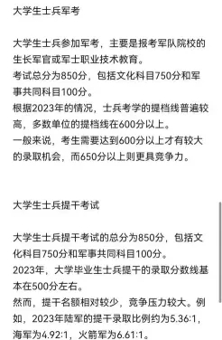 战略支援部队