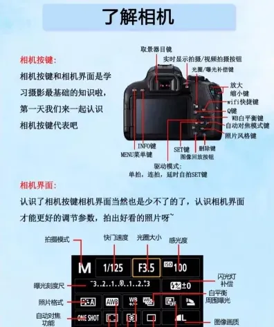 摄影