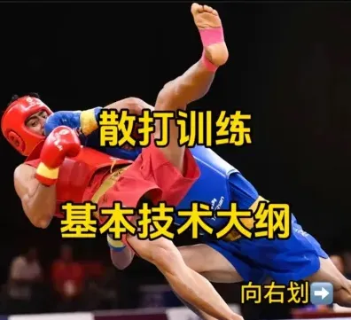 散打课程
