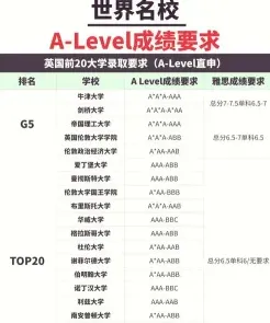 国际硕士
