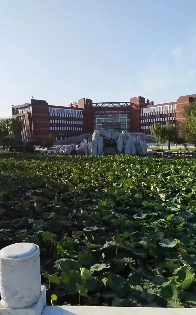国家