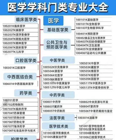 研究