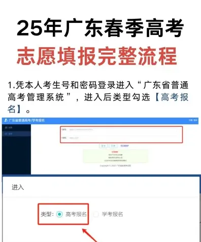 报名流程