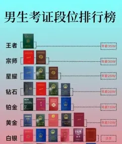 精力