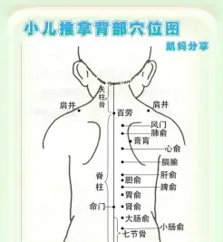 提供