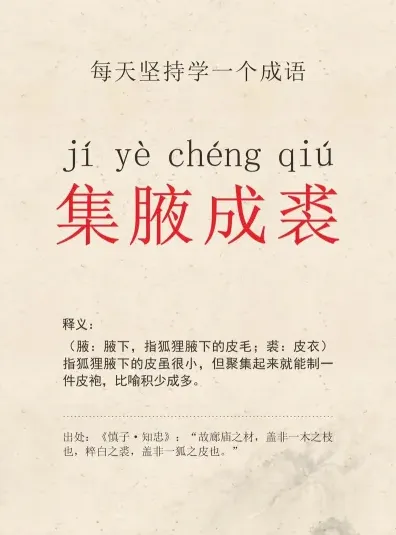 皮袍