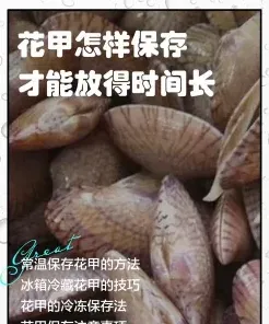 花甲