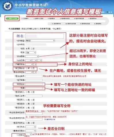填报