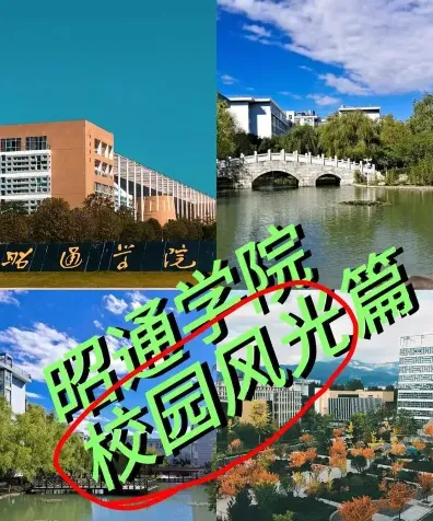 学校