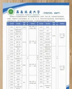 下载