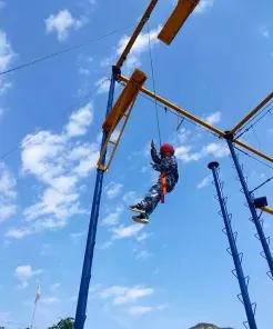 项目