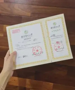 硕士学位证书