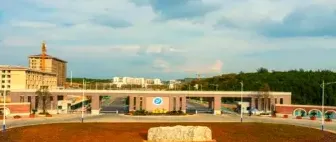 专业