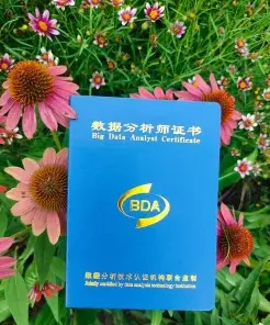 在职研究生