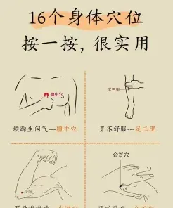 提供