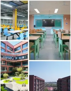 学校