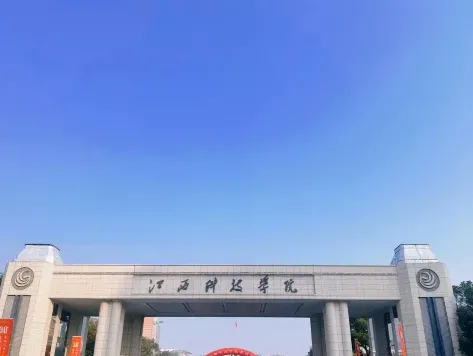中心