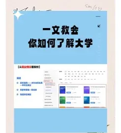 提供