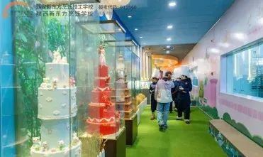 提供