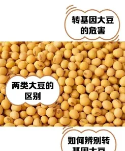 生物