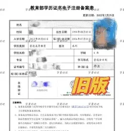 学历认证报告