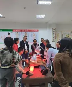 中医针灸培训