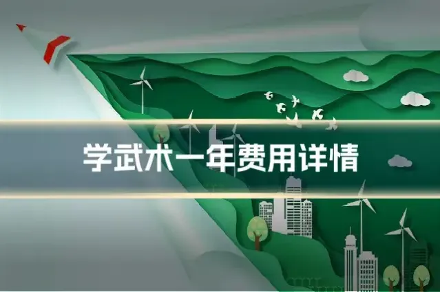 学武术一年费用详情