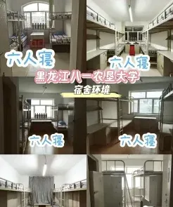 在职研究生