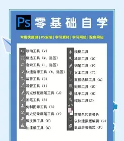 提供