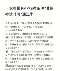 项目管理经验